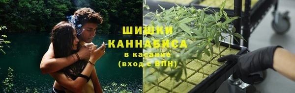 дживик Краснослободск