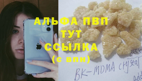 дживик Краснослободск