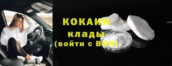 дживик Краснослободск