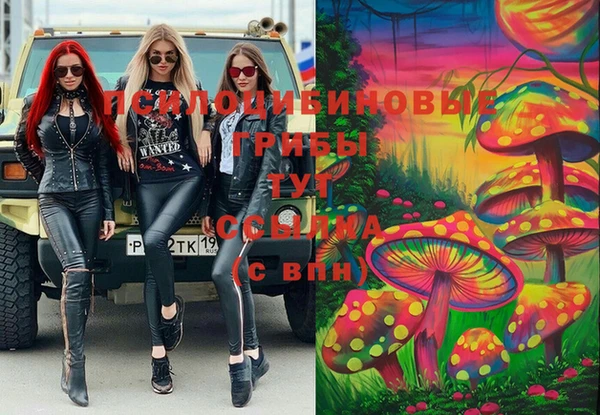 дживик Красноперекопск