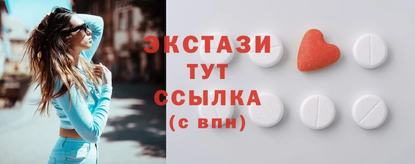дживик Краснослободск