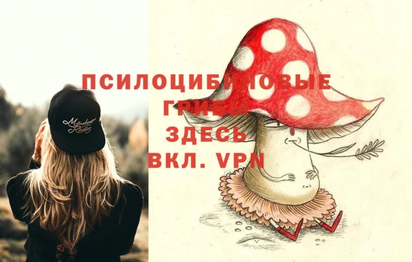 дживик Краснослободск