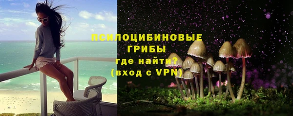 дживик Краснослободск